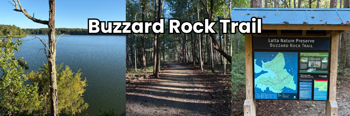 A collage of images from Buzzard Rock Trail in Latta Nature Preserve