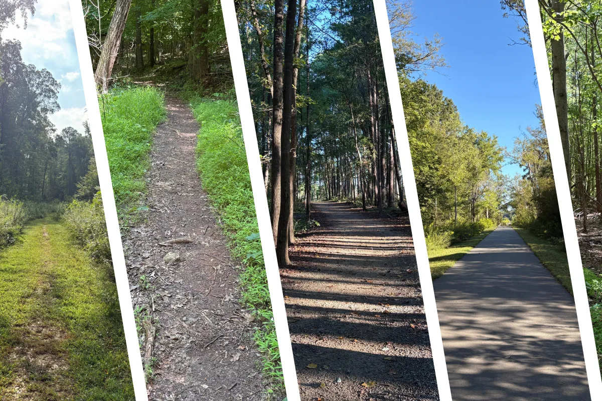 A collage of images from easy hikes in Huntersville