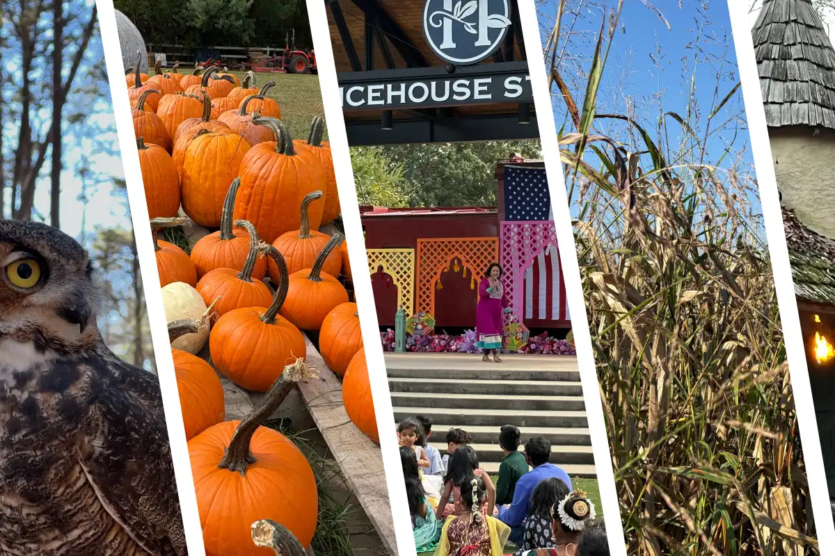 A collage of an owl, pumpkins, a festival, a corn maze, and the building at the Carolina Ren Faire