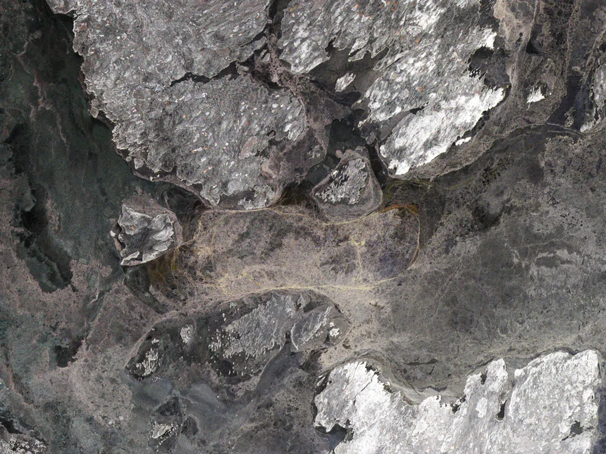 ภาพเรดาร์น้ำแข็งทะเลอาร์กติกที่ถ่ายโดย Sentinel-1