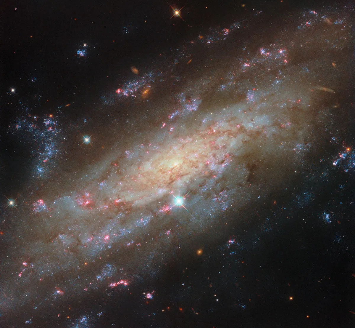 กล้องโทรทรรศน์อวกาศฮับเบิลของ NASA เผยภาพอันน่าตื่นตาของดาราจักรชนิดก้นหอย NGC 3137 ซึ่งอยู่ห่างออกไป 53 ล้านปีแสง การค้นพบนี้ให้ข้อมูลเชิงลึกเกี่ยวกับการกำเนิดและมรณะของดวงดาว และยังช่วยให้นักดาราศาสตร์เข้าใจถึงพลวัตของกลุ่มกาแล็กซีท้องถิ่นซึ่งเป็นบ้านของเราได้ดียิ่งขึ้น