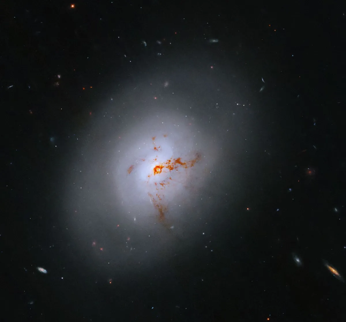 กล้องฮับเบิลบันทึกภาพกาแล็กซี NGC 1266 กาแล็กซีประเภทเลนส์ที่อยู่ห่างออกไป 100 ล้านปีแสง เผยโครงสร้างช่วงเปลี่ยนผ่านสำคัญที่ช่วยให้นักดาราศาสตร์เข้าใจว่ากาแล็กซีมีวิวัฒนาการและหยุดการก่อตัวของดาวฤกษ์ได้อย่างไร ท่ามกลางฝุ่นอวกาศและแสงจากกาแล็กซีอันไกลโพ้น