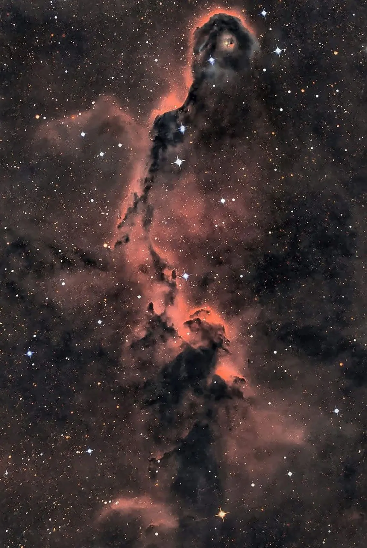รายงานล่าสุดจาก NASA เผยภาพความละเอียดสูงของเนบิวลางวงช้าง โครงสร้างก๊าซและฝุ่นระหว่างดวงดาวที่ทอดยาวกว่า 20 ปีแสงในกลุ่มดาวเซเฟอุส ซึ่งเป็นพื้นที่สำคัญในการศึกษาการก่อตัวของดาวฤกษ์ดวงใหม่ที่ซ่อนตัวอยู่ภายในกลุ่มเมฆที่มืดมิด