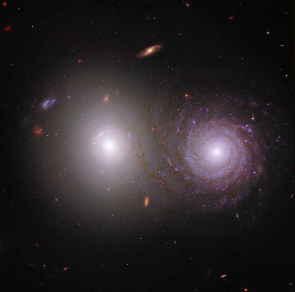 NASA เปิดตัวโครงการ Overlap Zoo เชิญชวนอาสาสมัครร่วมค้นหากาแล็กซีที่ซ้อนทับกัน เพื่อใช้เป็นไฟฉายธรรมชาติในการส่องสำรวจฝุ่นคอสมิกที่ซ่อนตัวอยู่ภายใน ช่วยให้นักวิทยาศาสตร์แผนที่การกระจายตัวของฝุ่นและคำนวณระยะทางในอวกาศได้แม่นยำขึ้น ร่วมเป็นส่วนหนึ่งของการค้นพบระดับโลกได้แล้ววันนี้