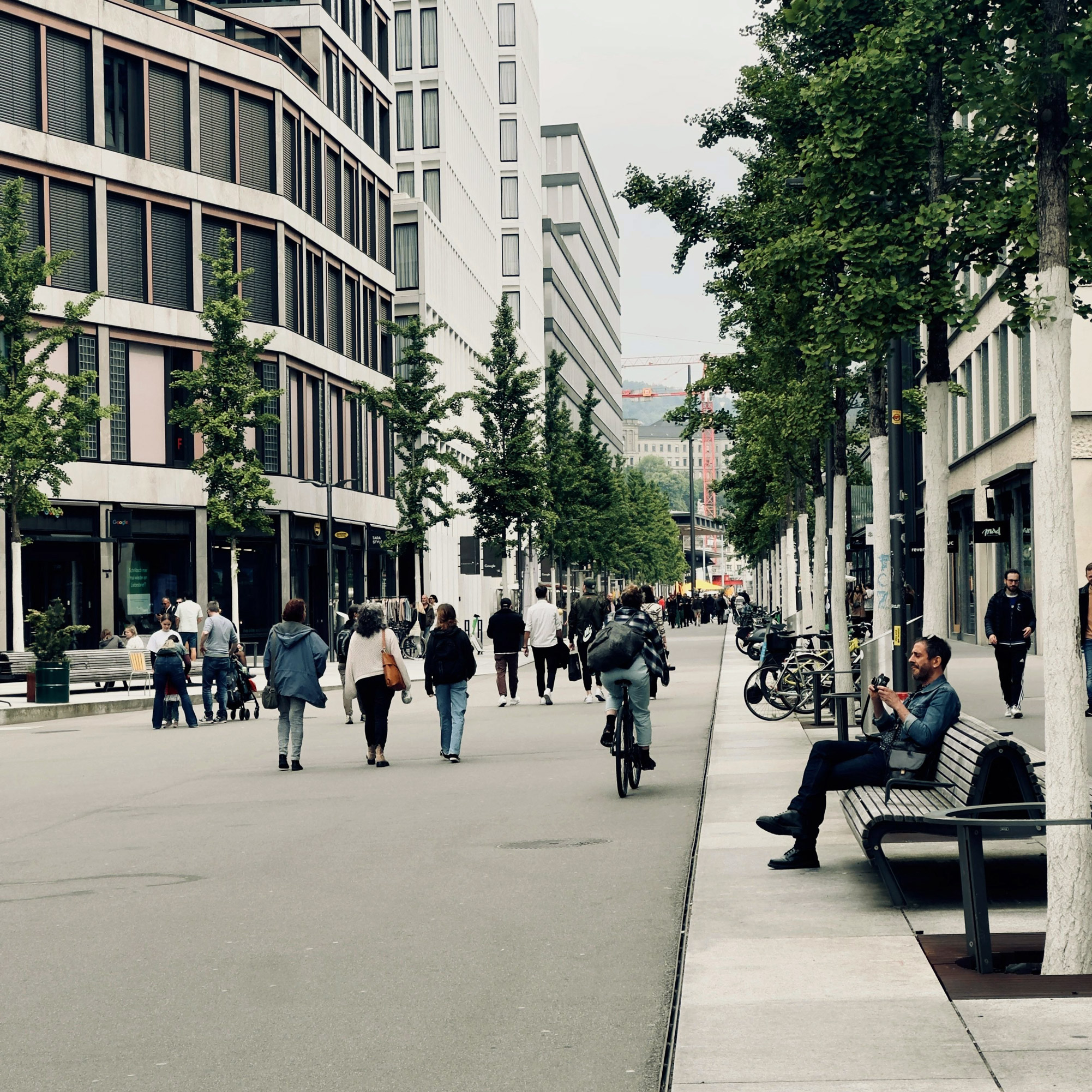 Menschen gehen und fahren Velo auf einer von Bäumen gesäumten Fussgängerzone in der Stadt.