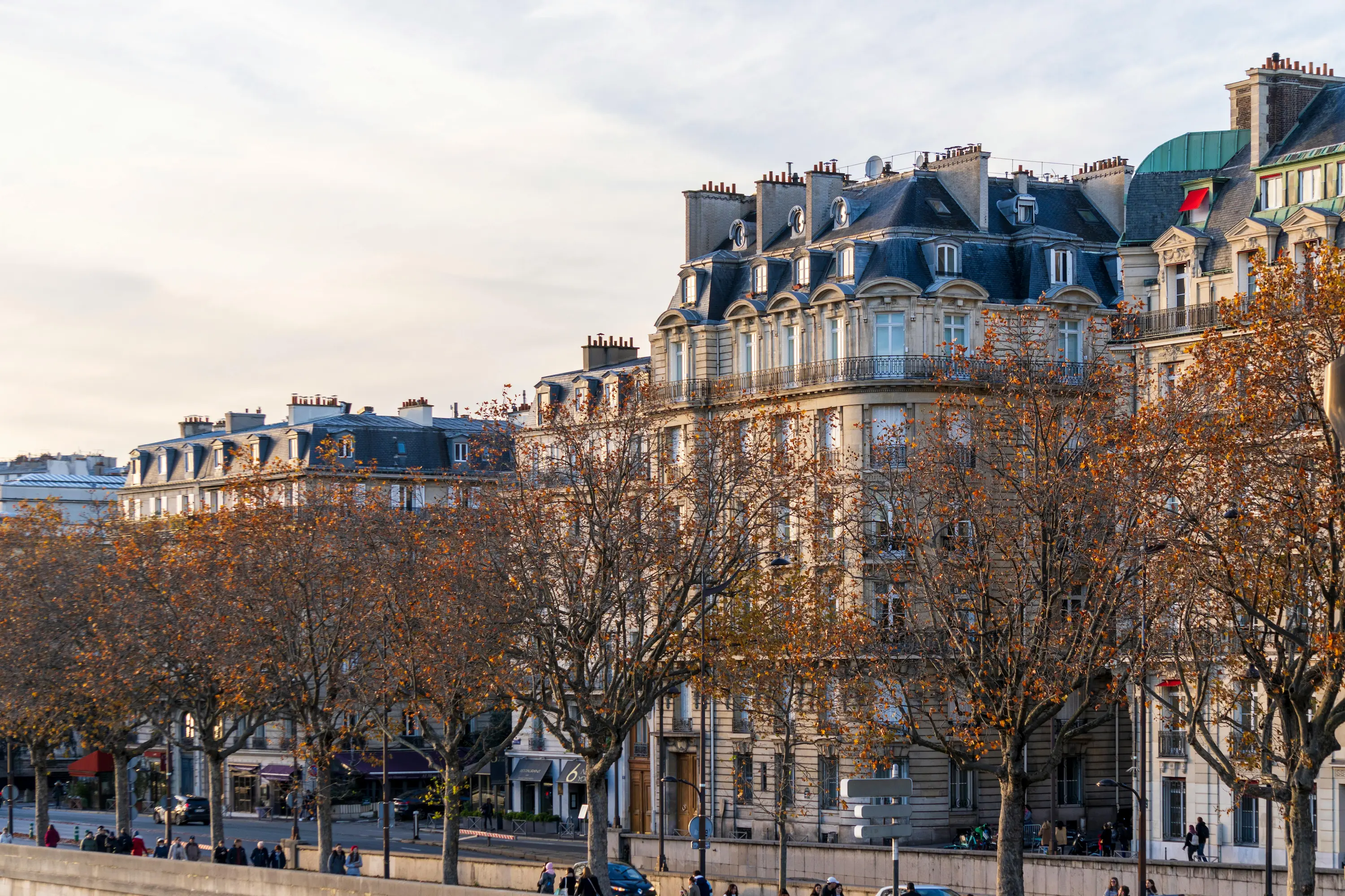 Façades d'immeubles haussmanniens avec arbres d'automne le long d'une rue animée en ville.