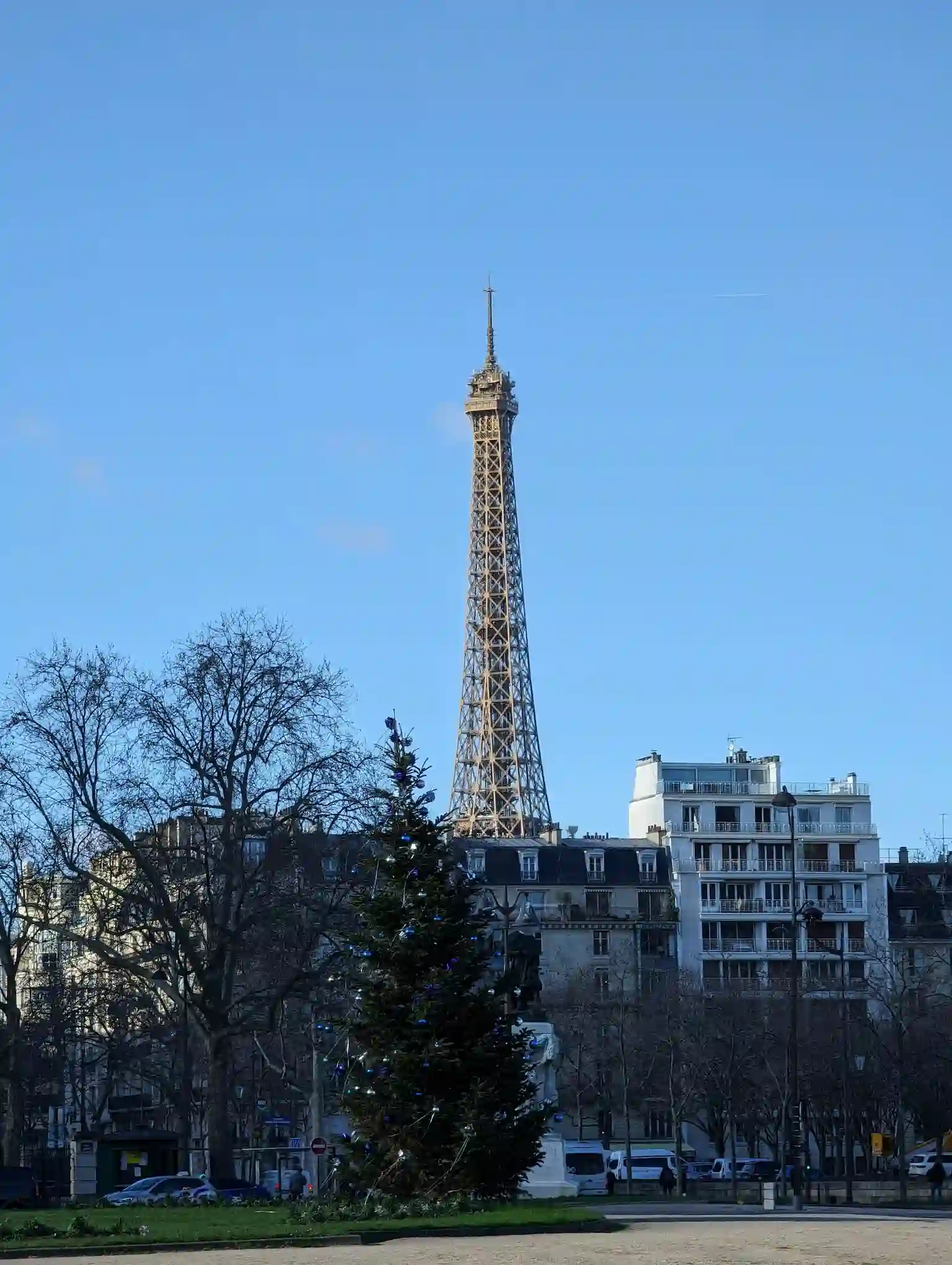 Tour Eiffel derrière un sapin de Noël et des immeubles sous un ciel bleu clair.
