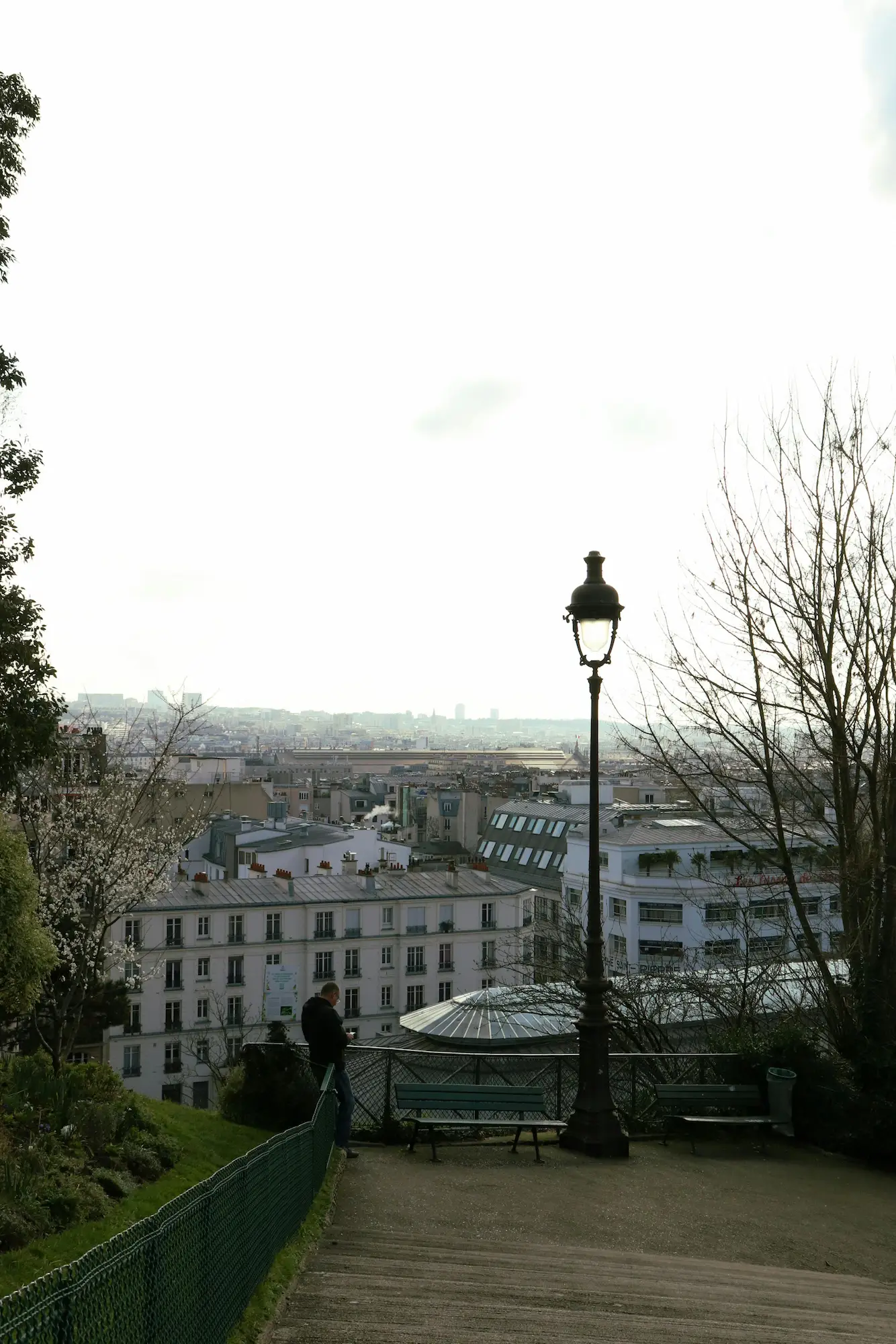 Person standing near a green fence and lamp post overlooking rooftops of a city with benches and trees around.