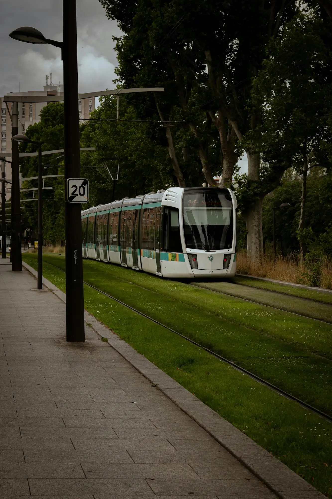 Tramway moderne blanc et vert roulant sur des rails intégrés dans une pelouse urbaine entourée d'arbres et de lampadaires.