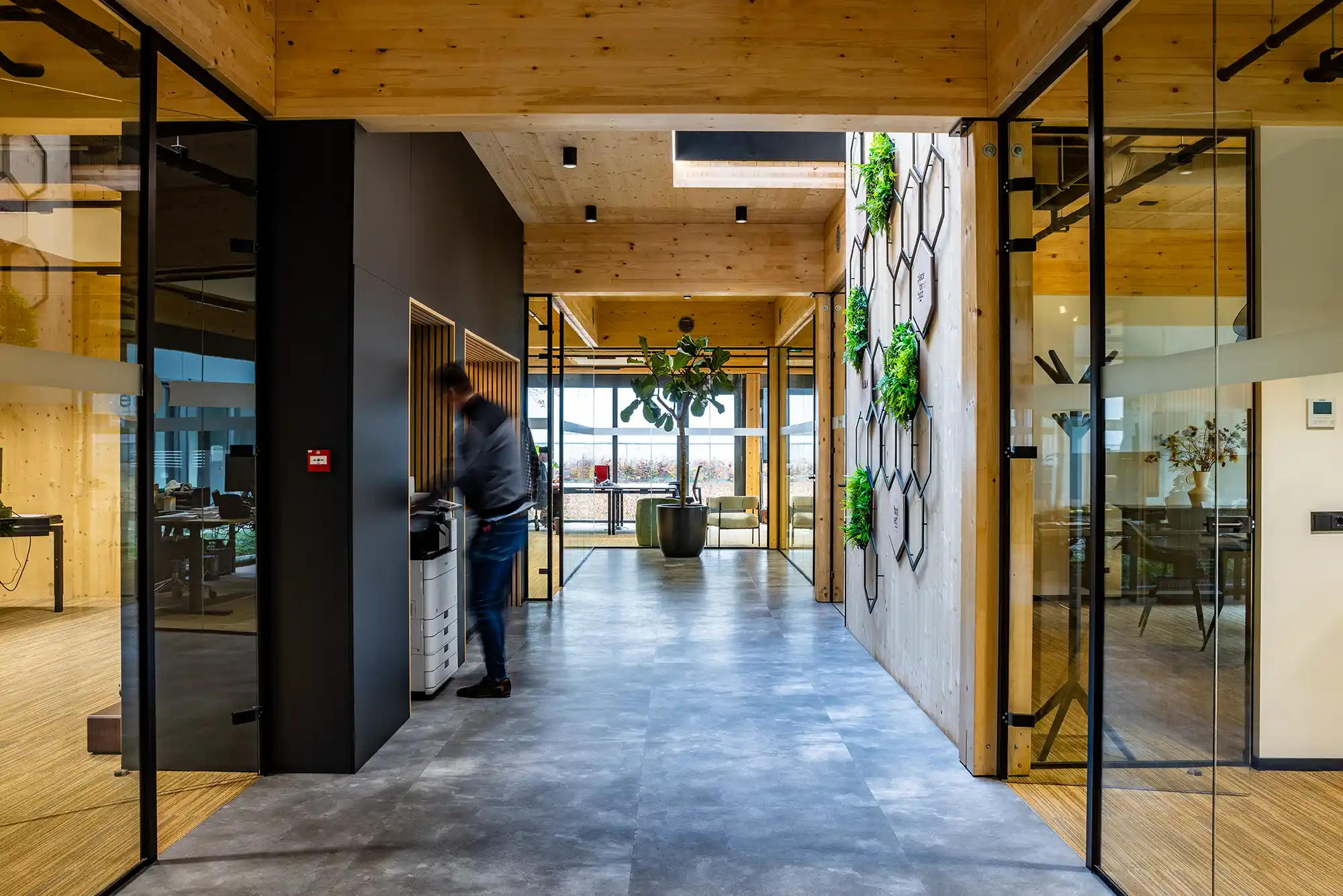 Moderne kantoorruimte met glazen wanden, houten plafond, een plant tegen de muur en een persoon die een printer gebruikt.