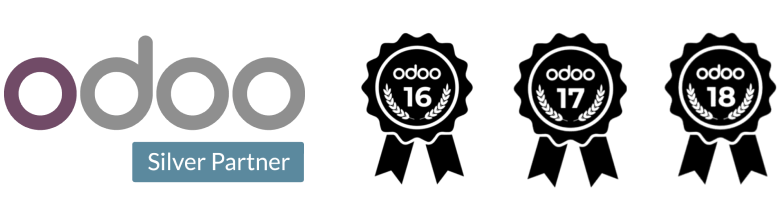 Odoo Silver Partner badge with Odoo logo in purple and gray letters and a blue label below saying Silver Partner.