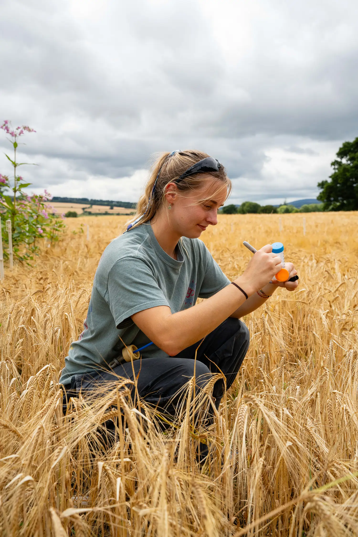 Young woman squatting in a wheat field, writing on a small container under a cloudy sky.