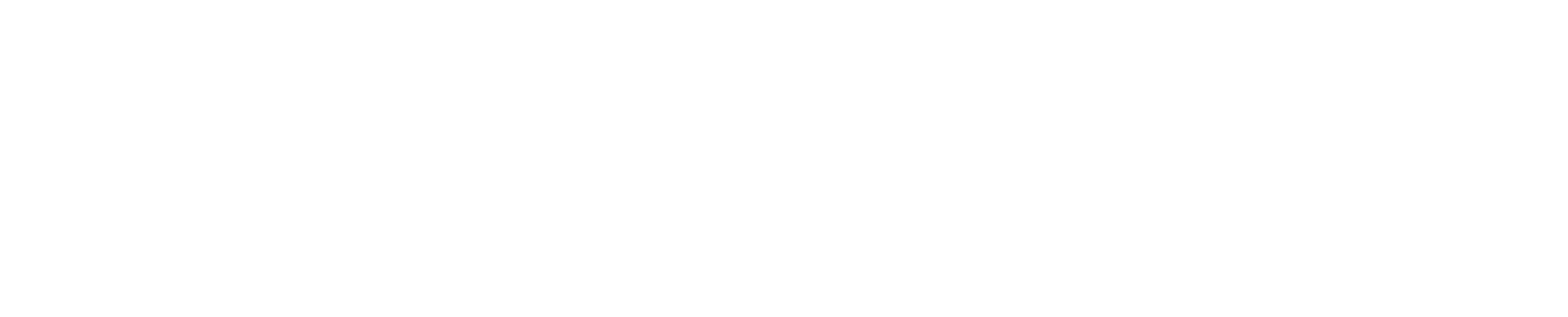 Earnix logo