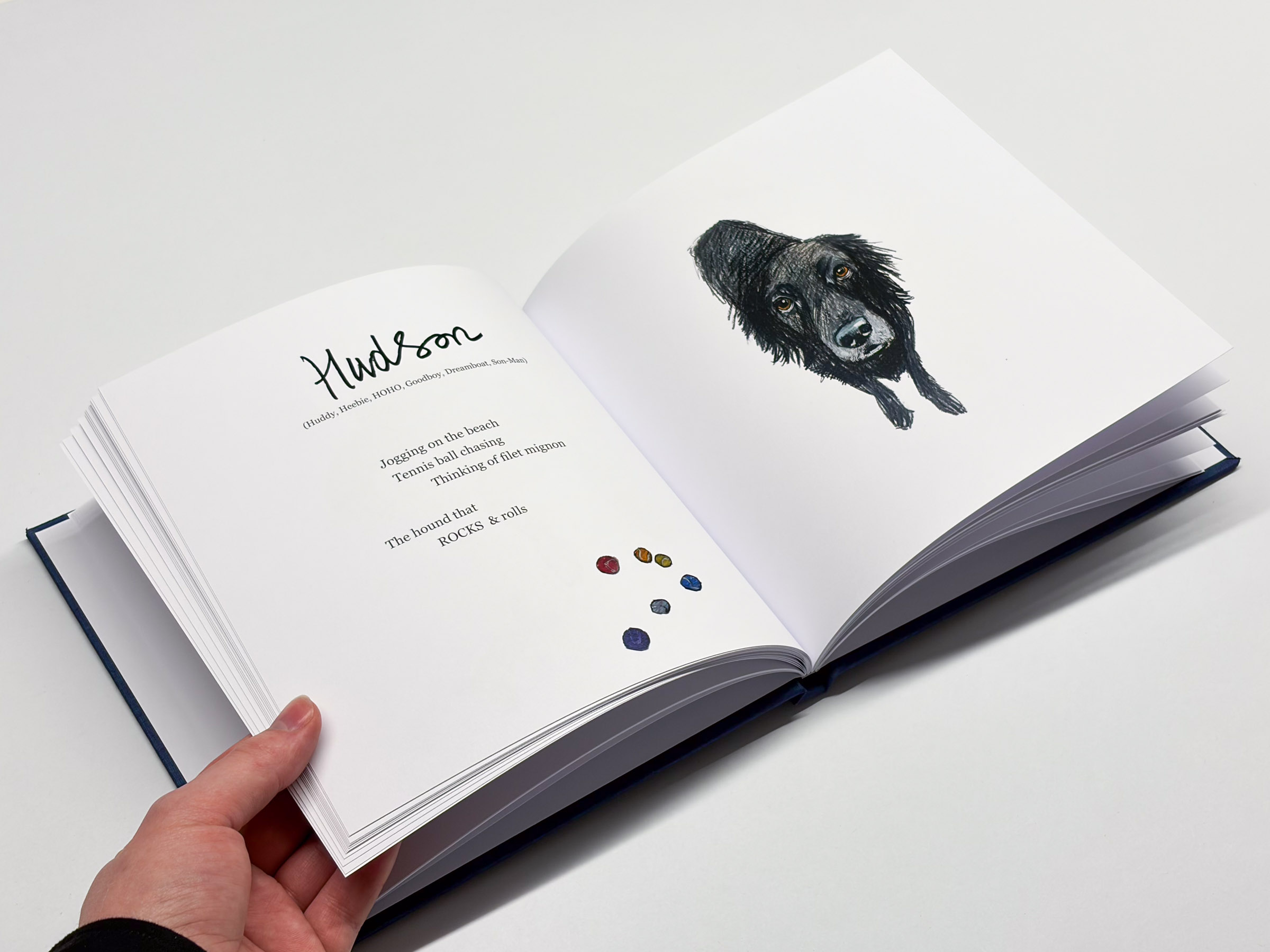 Illustrated book
