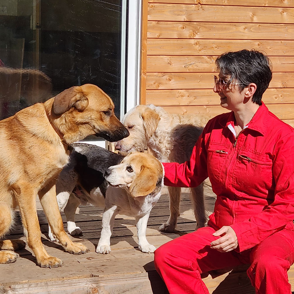 A person in a red jacket smiling and petting three dogs on a wooden patio outside a house.