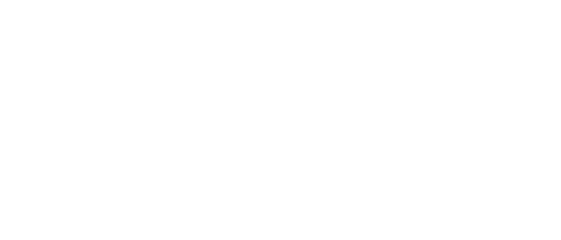 Dutch Van Parts logo – van accessories and expedition upgrades