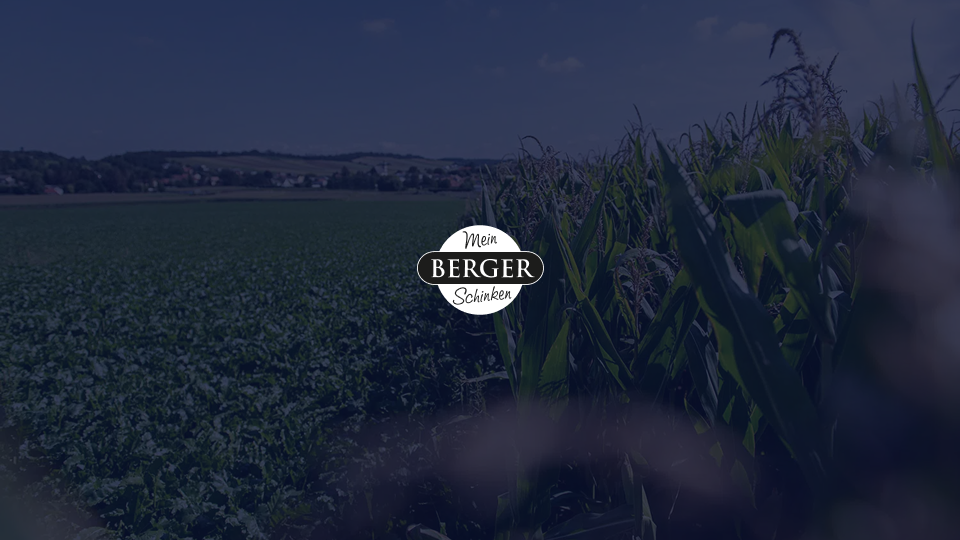 Fleischwaren Berger Gesellschaft m.b.H. & Co.KG.