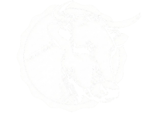 Schöch's Meathouse Video