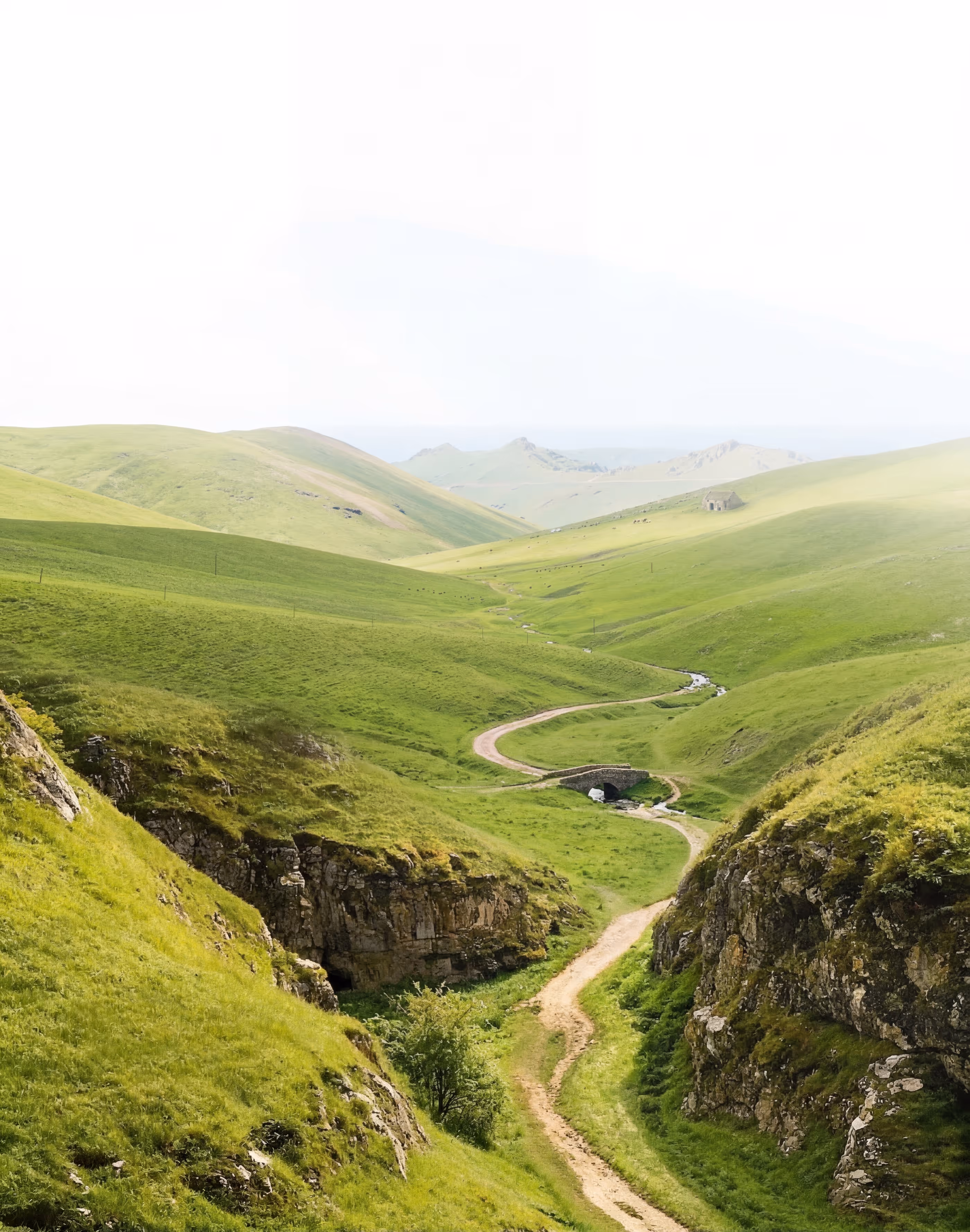 Група людей різного віку, які сидять і стоять у сучасній кімнаті для зустрічей, деякі дивляться вперед, інші фотографують.