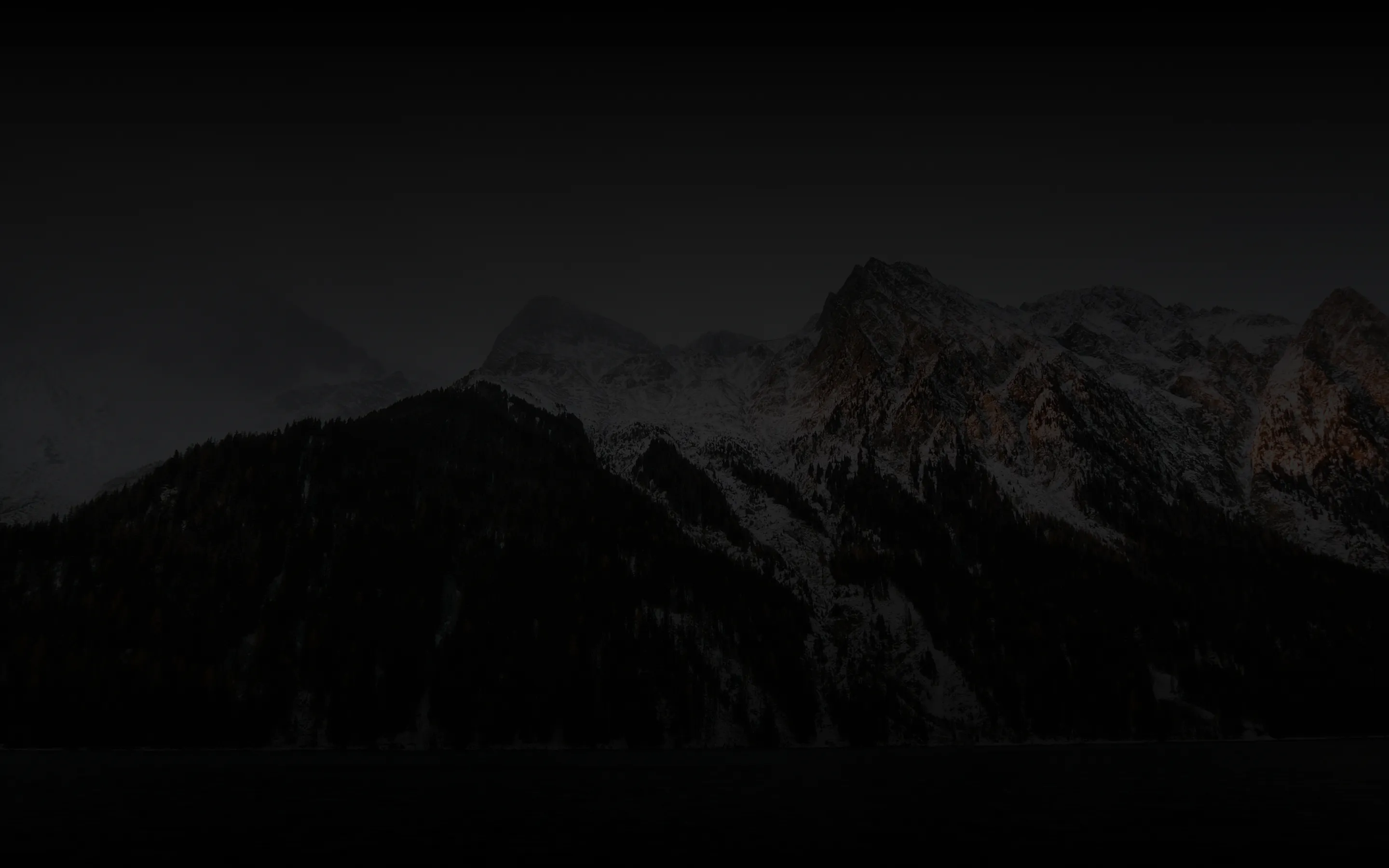 Snow-capped mountain peaks with dense forested slopes under a clear sky.