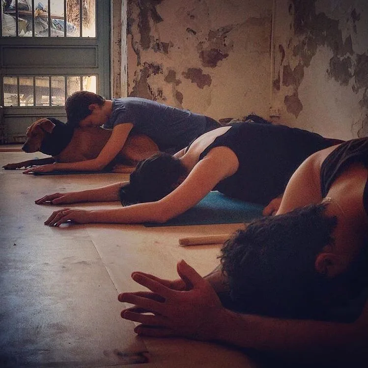 Yin Yoga