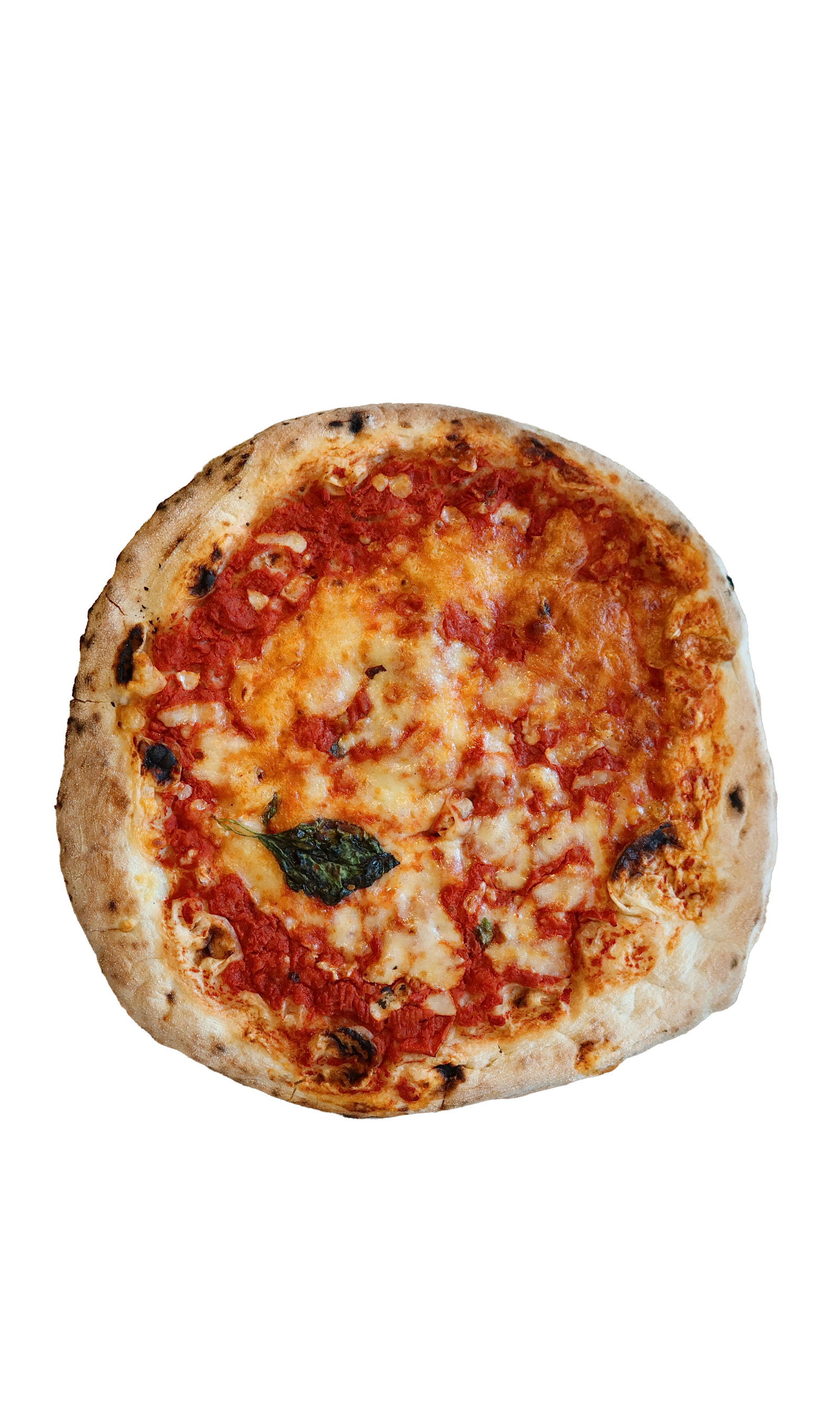 Traditional Napoletana pizza