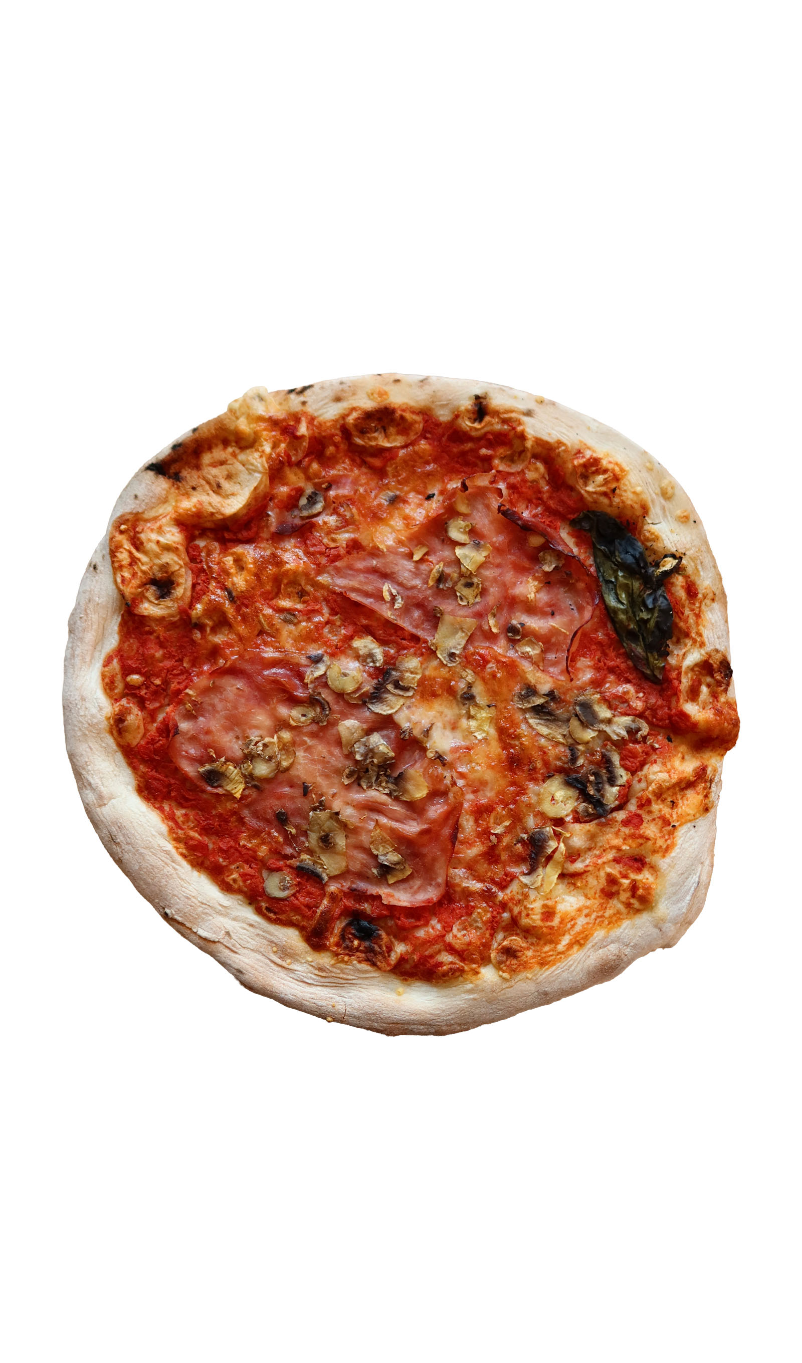 Italian style pizza with fresh cheese, herb, and small colourful tomatoes