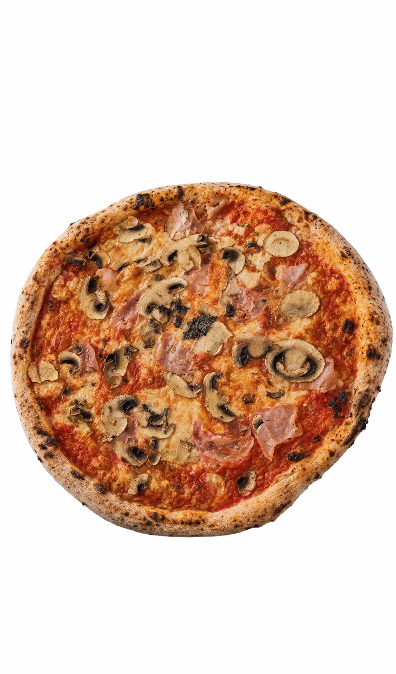 Italian style pizza with fresh cheese, herb, and small colourful tomatoes