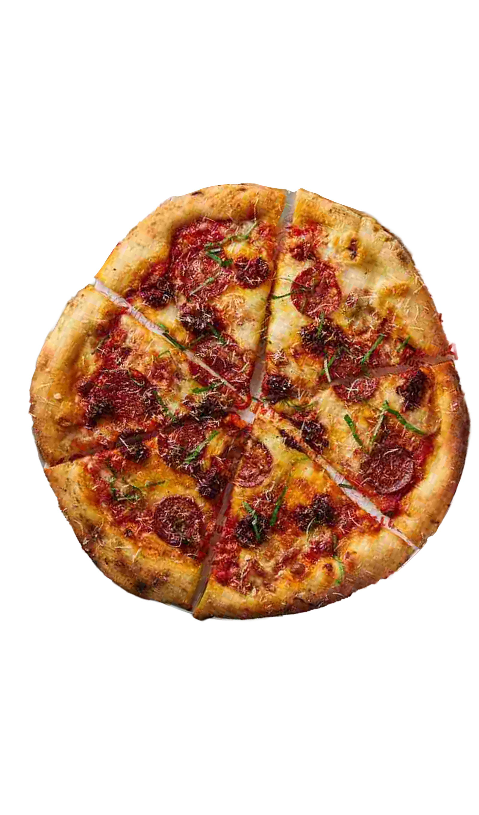 Special Pizza with smoked cheese and vegetable as toppings