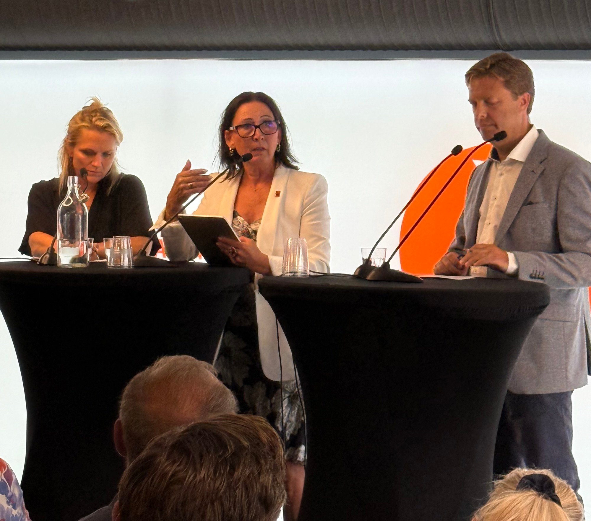 ideelle-velferdsorganisasjoners-fremtid