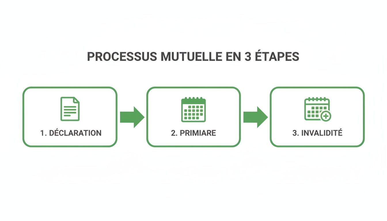 Un diagramme illustrant le processus mutuel en 3 étapes : déclaration, primaire et invalidité.