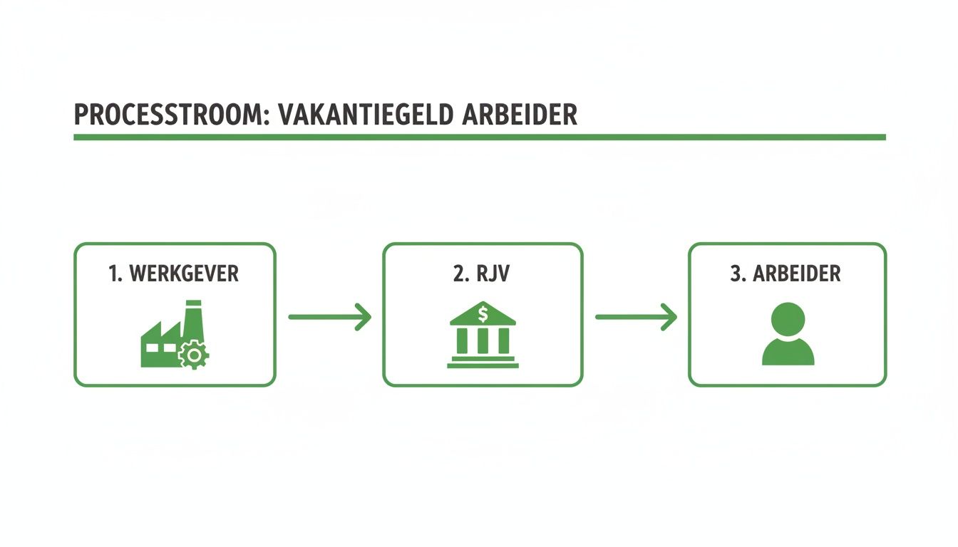Een stroomschema toont het proces van vakantiegeld voor arbeiders, van werkgever via RJV naar de arbeider.