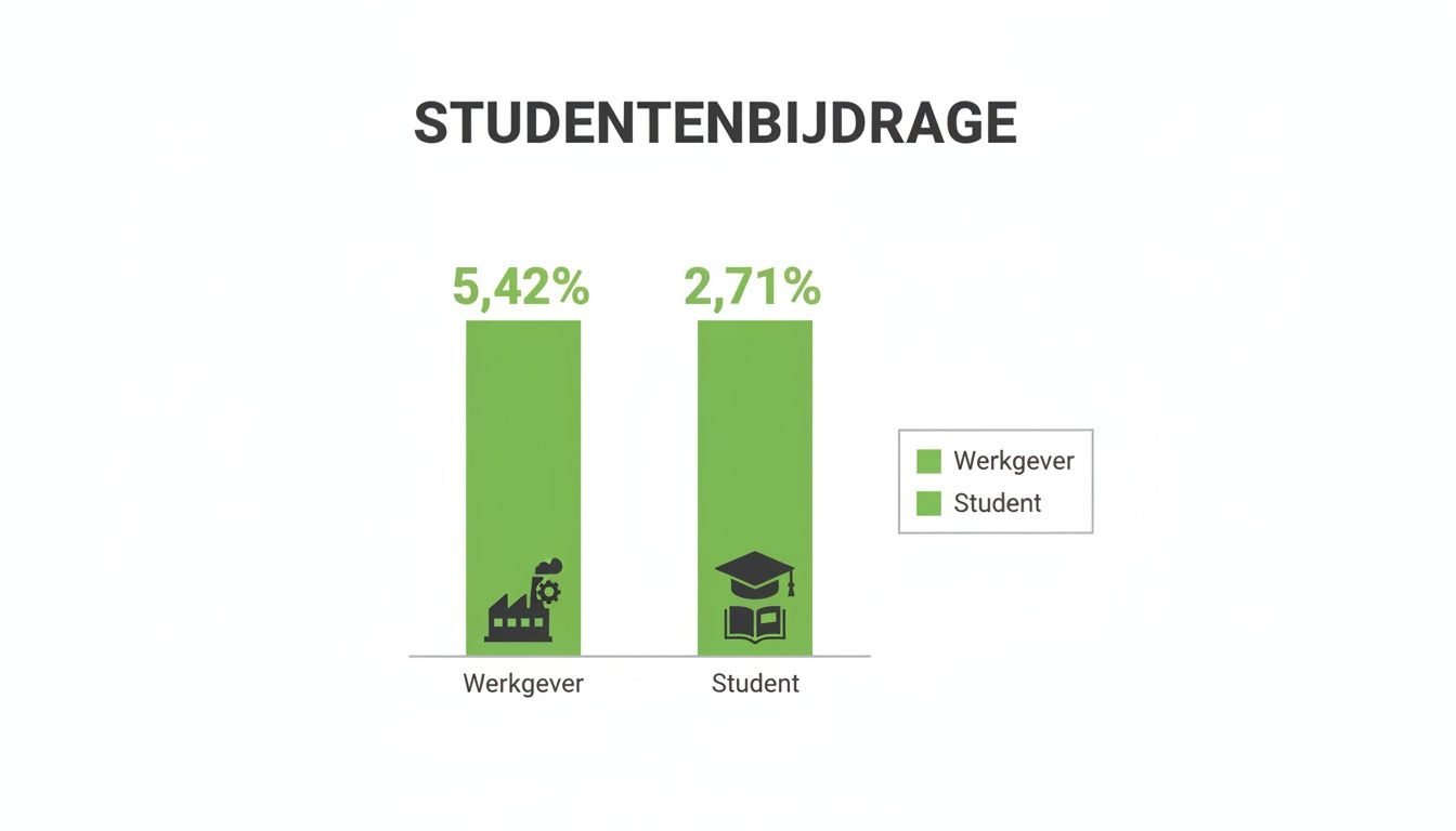 Staafdiagram toont studentenbijdrage, met 5,42% van de werkgever en 2,71% van de student.