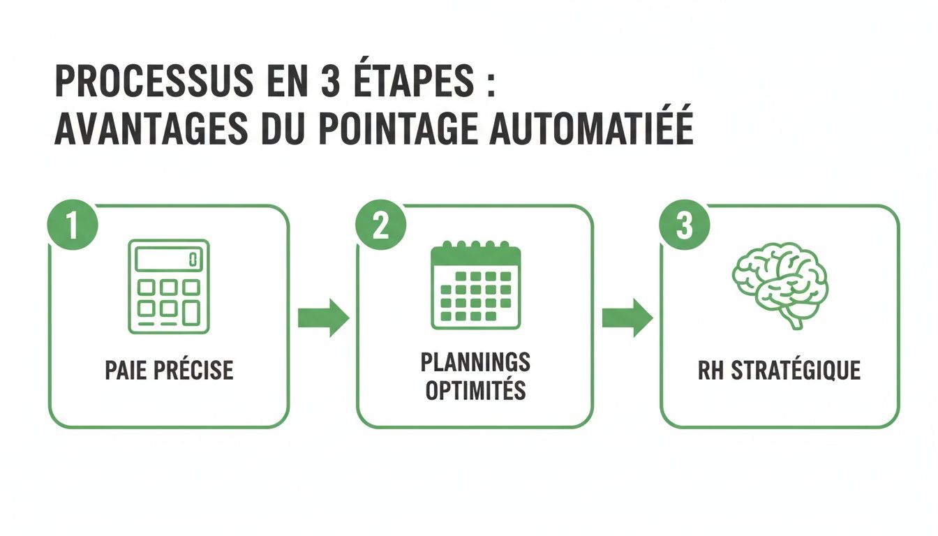 Infographie illustrant les 3 étapes des avantages du pointage automatique : paie précise, plannings optimisés et RH stratégique.