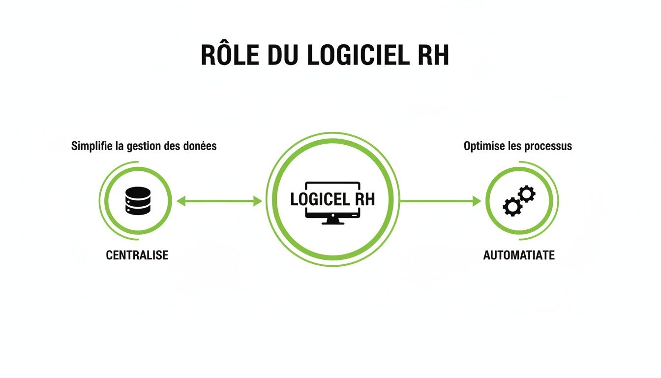 Infographie montrant le rôle du logiciel RH dans la simplification de la gestion des données et l'optimisation des processus.