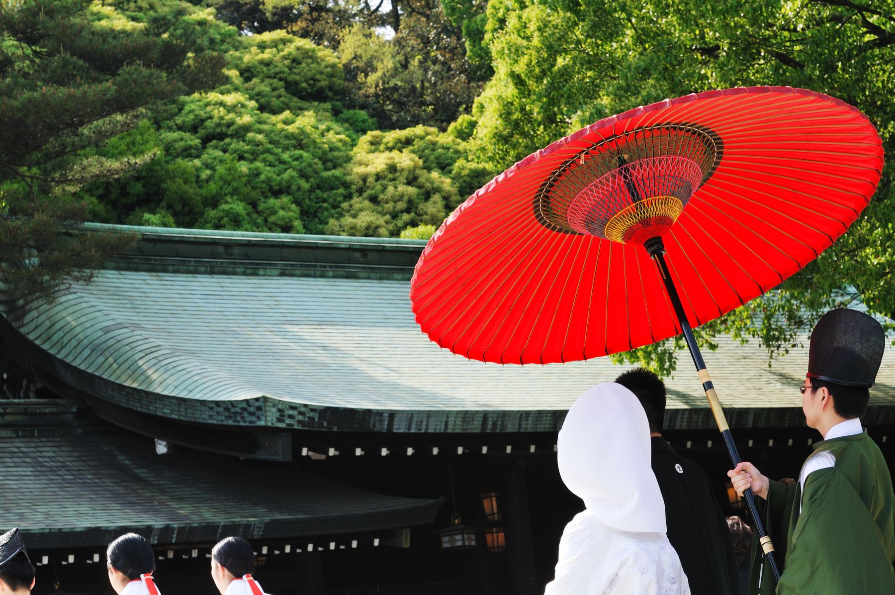 A bride in a white wataboshi hood walks beneath a red parasol in a Shinto wedding procession at Meiji Jingu, Tokyo