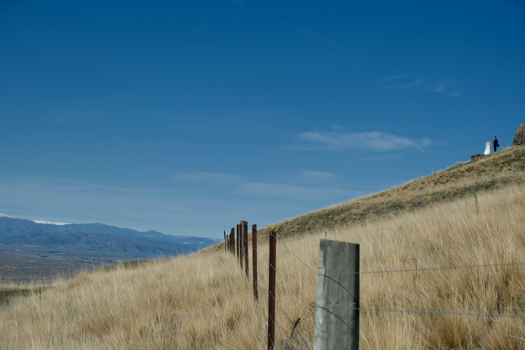 A bride and groom stand on a golden tussock hillside near Mount John in New Zealand's Mackenzie Country