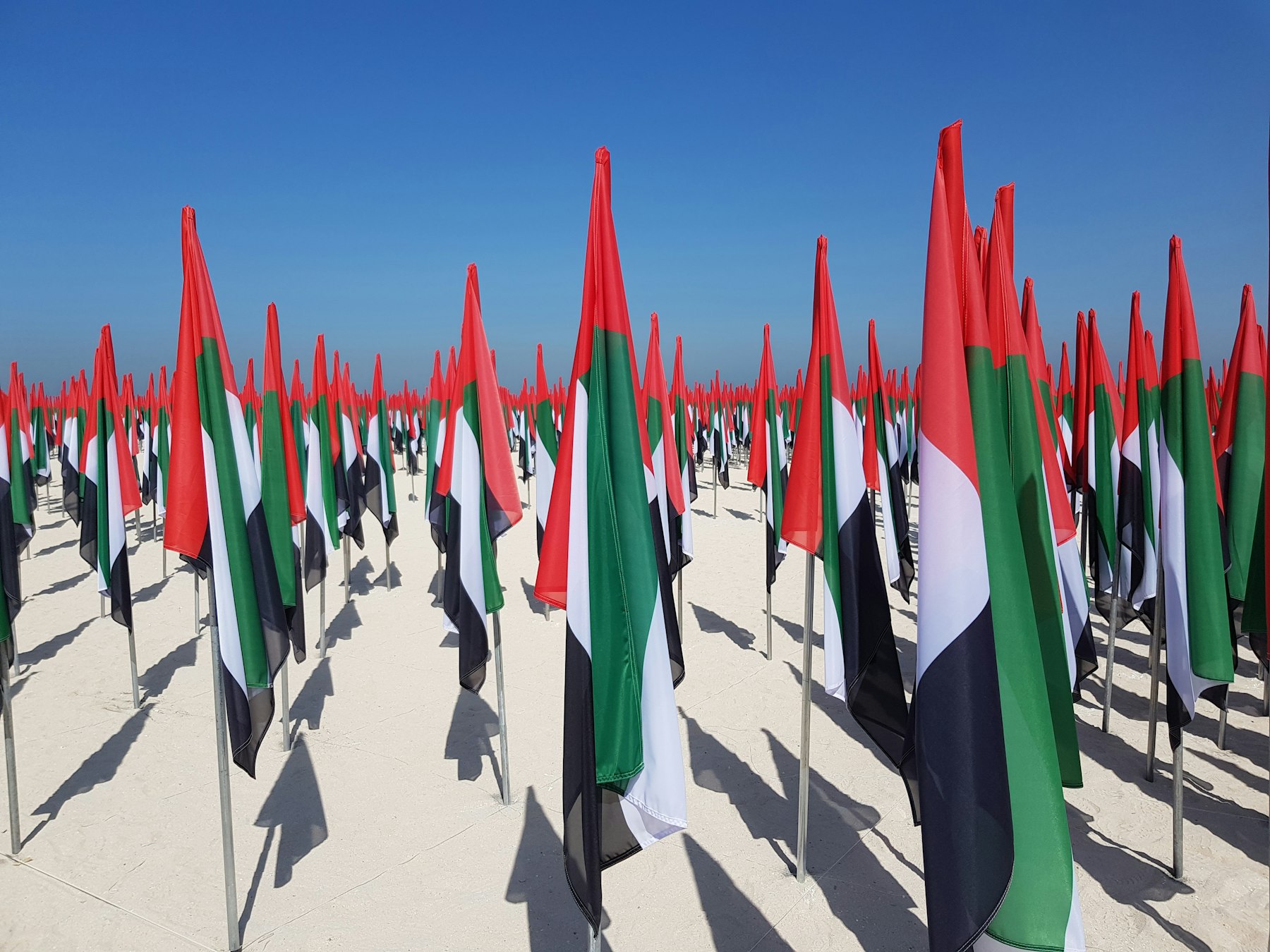 Rows of red, green, white and black UAE flags planted in the sand under a clear blue sky