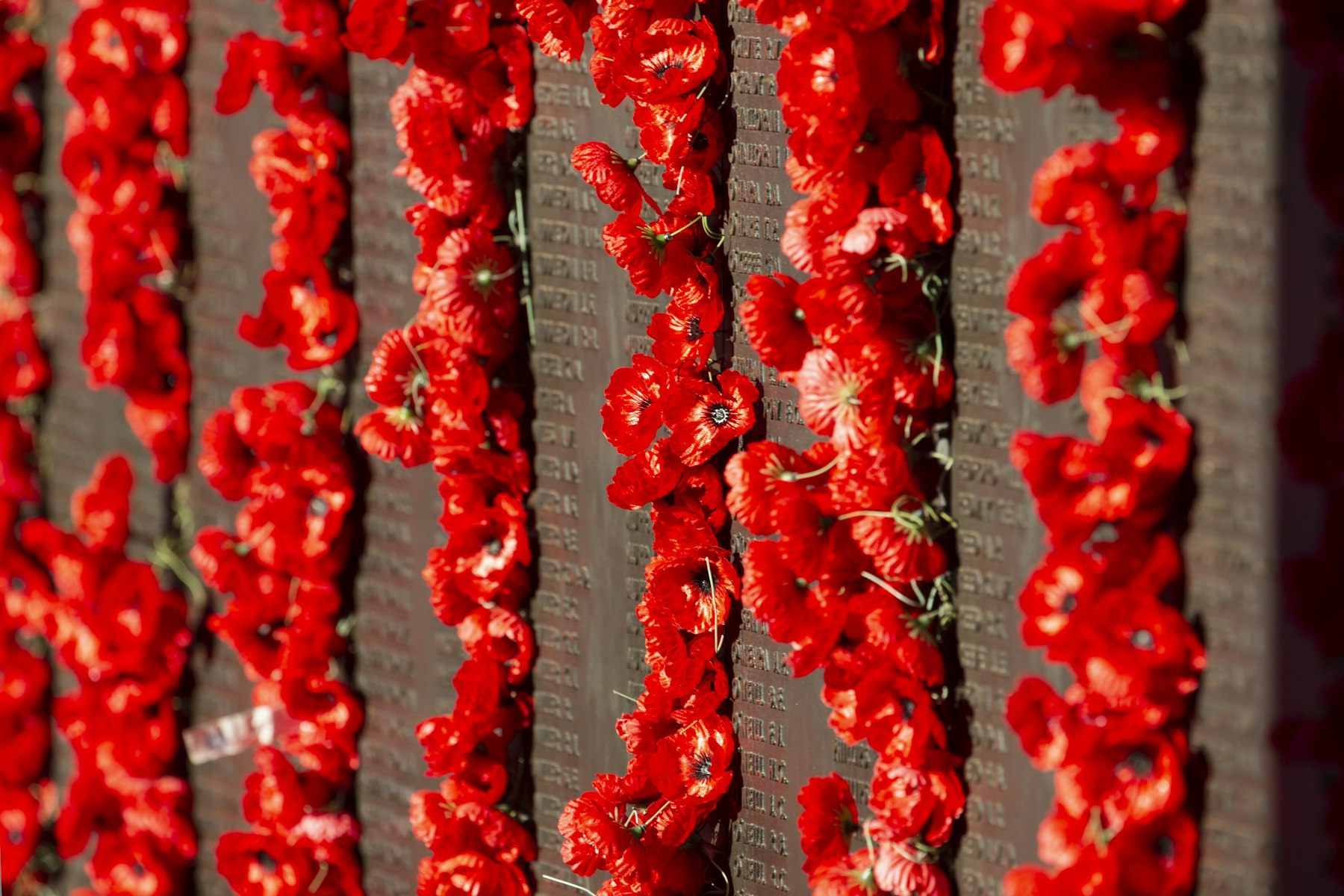 Rote Mohnblumen neben den Namen an einer Gedenkwand zum Anzac Day