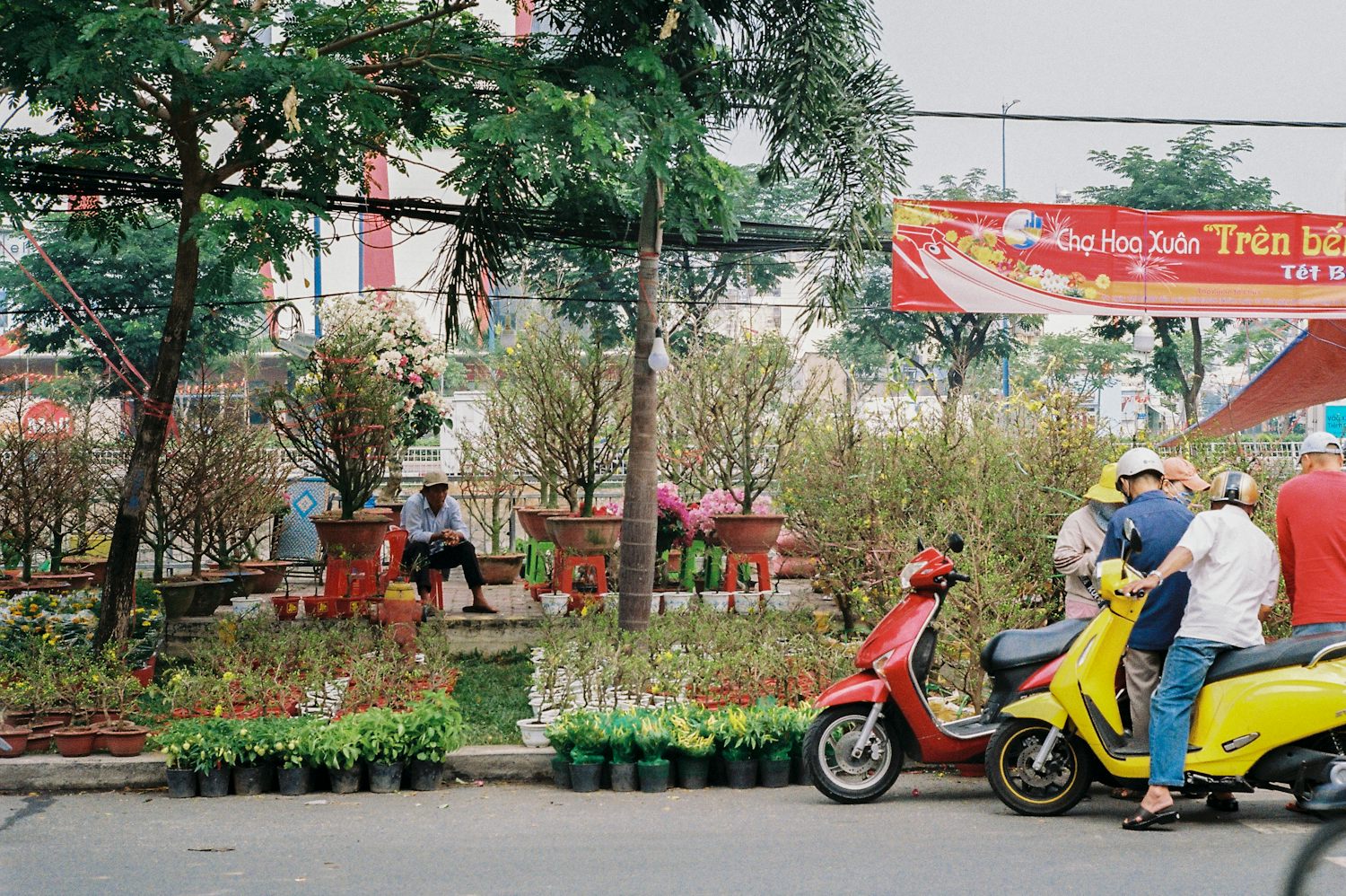 Menschen auf Motorrollern halten an einem Tết-Blumenmarkt am Fluss in Vietnam mit Töpfen voller Aprikosenblüten und Bougainvilleen