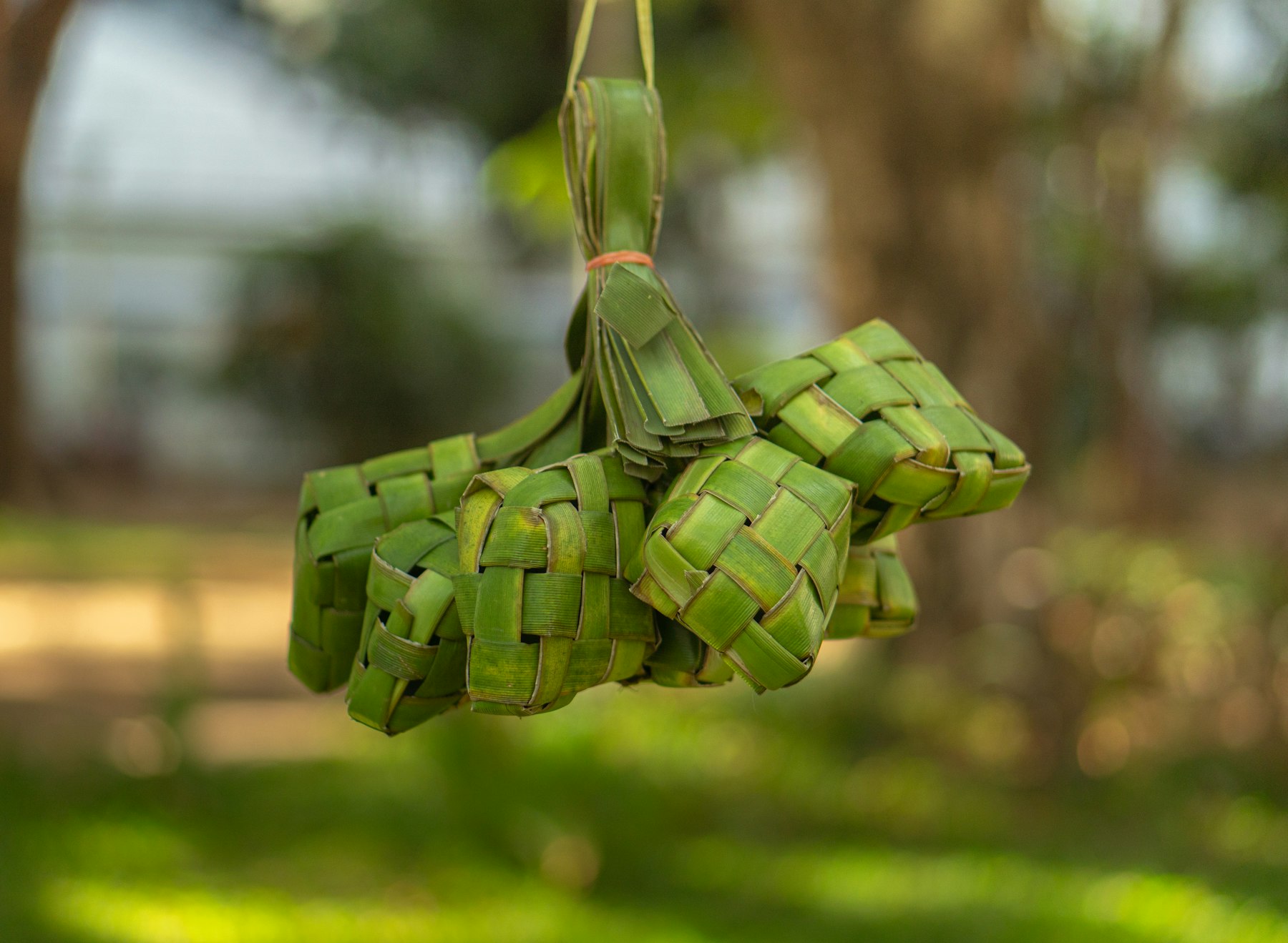 A bunch of green woven palm-leaf ketupat cases hanging outdoors, a classic sign of Lebaran