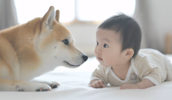 A baby and a dog are sprawled on the floor, sharing a cozy and adorable moment together.