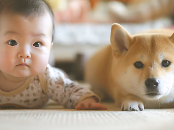 A baby and a dog are sprawled on the floor, sharing a cozy and affectionate moment in a playful environment.