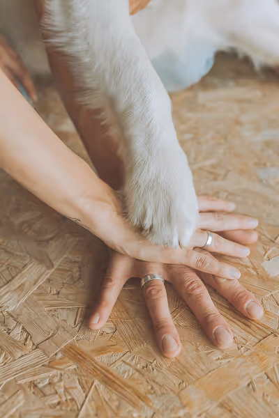Close-up of a dog's paw resting on a couple of hands, symbolizing a bond of trust and companionship.
