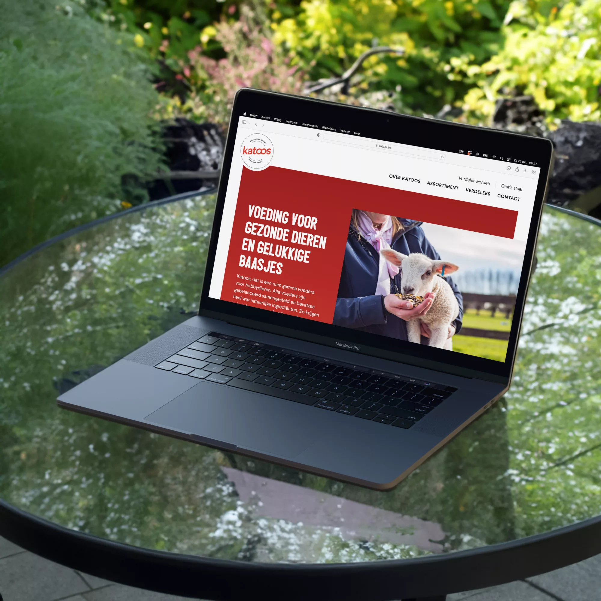 Katoos website