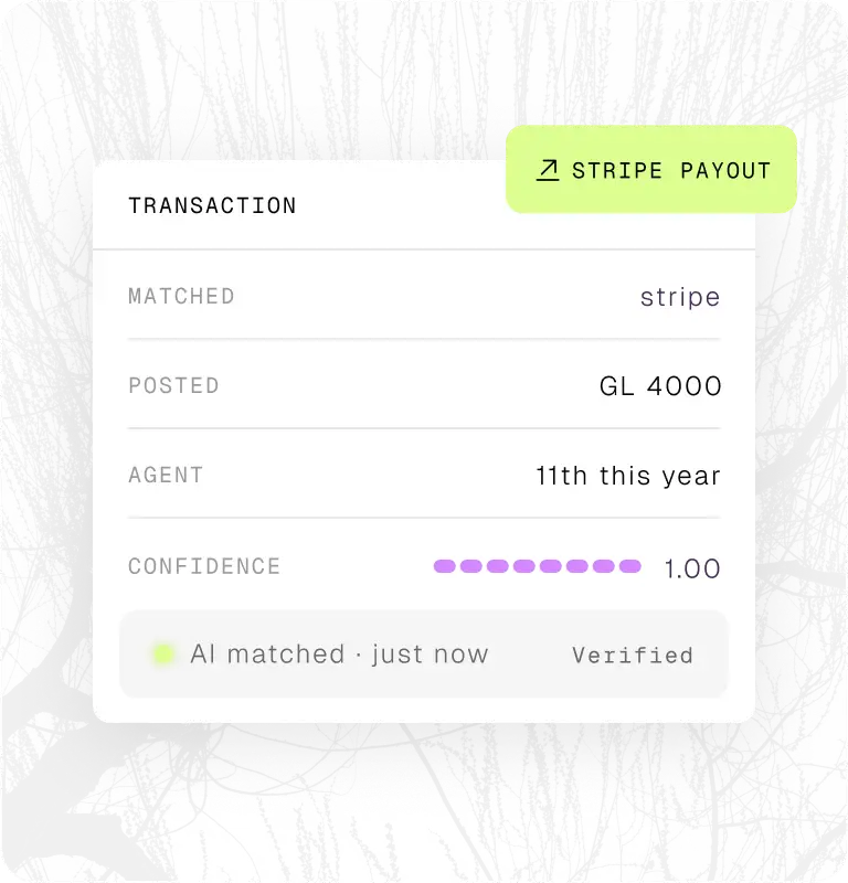 Transaction details showing matched as stripe, posted GL 4000, agent 11th this year, confidence 1.00.