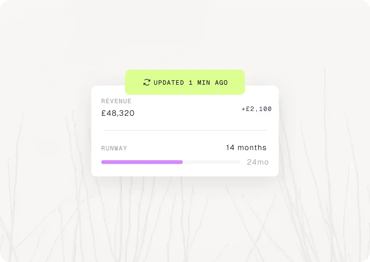 Financial card showing revenue £48,320 with +£2,100 increase and runway of 14 months out of 24.