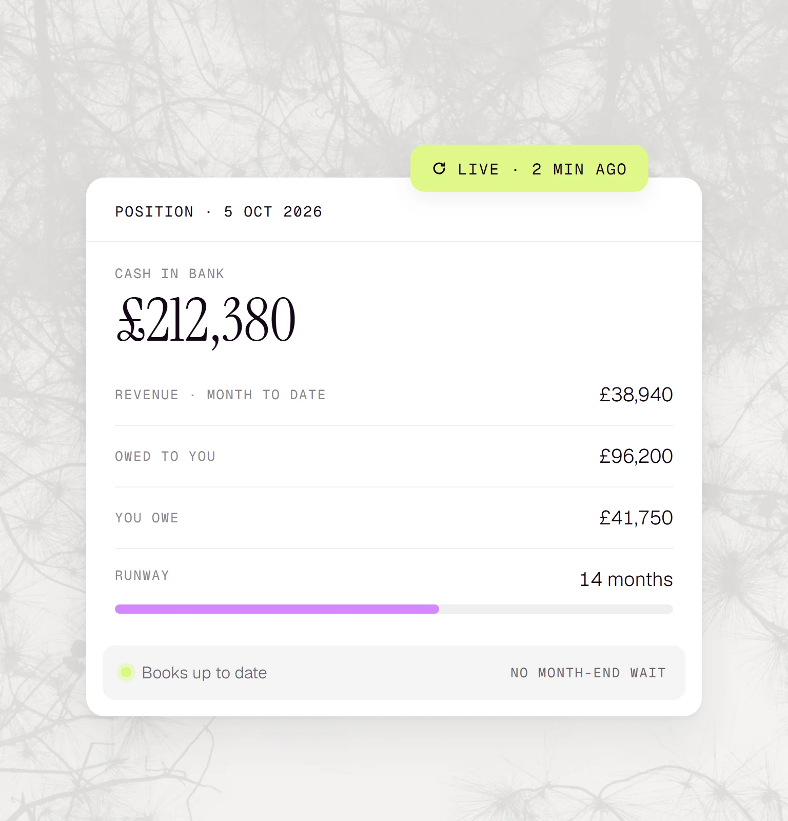 Finzu dashboard card for 5 October showing cash in bank £212,380, month-to-date revenue, amounts owed each way and a 14-month runway, updated live.