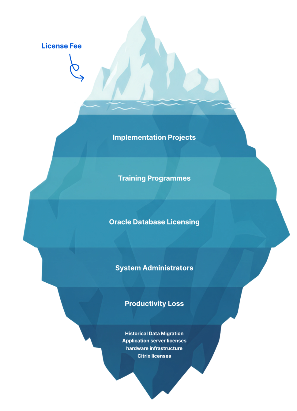 Iceberg diagram showing 'License Fee' above water and below water layers labeled Implementation Projects, Training Programmes, Oracle Database Licensing, System Administrators, Productivity Loss, and smaller text with historical data migration, application server licenses, hardware infrastructure, Citrix licenses.
