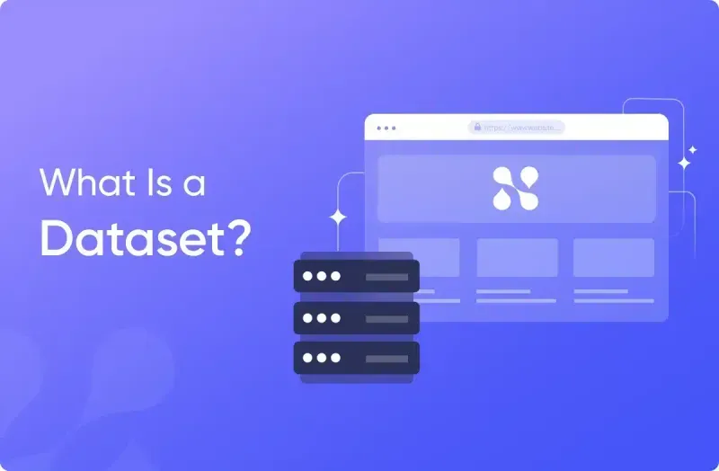 What Is a Dataset? The Basics of Datasets